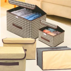 Organizador Multiuso B-Max BM-F1203 com Tampa